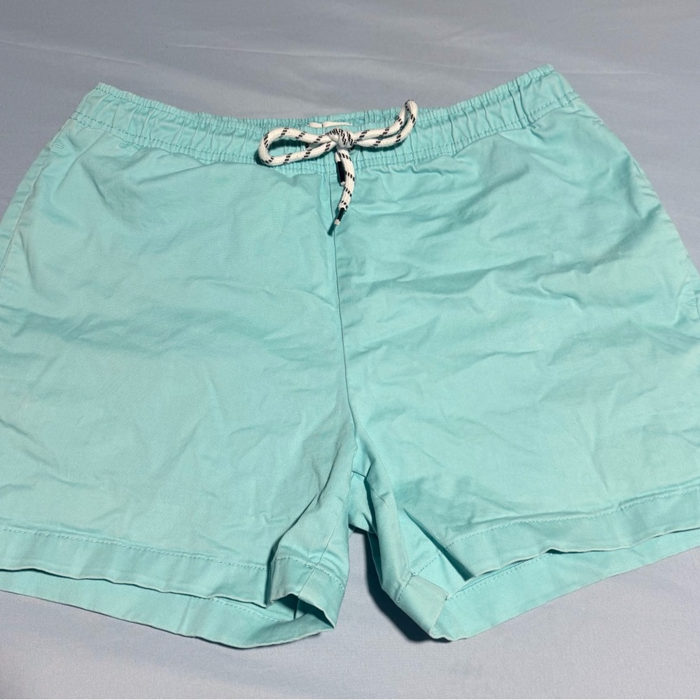 Crown & Ivy Aqua Men's Shorts